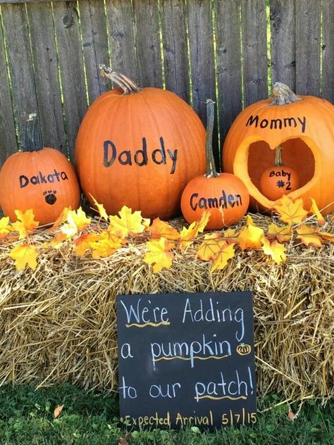 Pumpkin baby announcement! Cute!! Growing Pumpkin, Pumpkin Baby Announcement, Pumpkin Pregnancy Announcement, Halloween Baby Announcement, Thanksgiving Baby Announcement, Second Baby Announcements, Fall Baby Announcement, Pregnancy Announcement Sibling, Thanksgiving Pregnancy Announcement