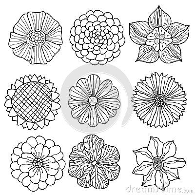 Could have each kid make a flower and turn it into a bouquet. Ako Kresliť, Patterns Drawing, Jessica Hische, Drawn Typography, Herb Lubalin, Fonts Calligraphy, Doodle Frames, Japanese Typography, Chinese Typography