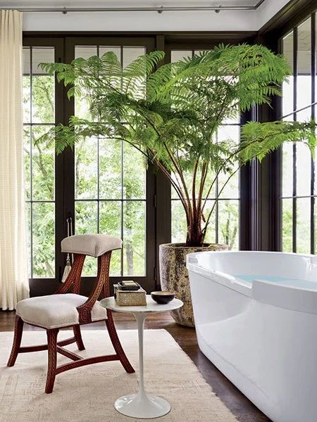 Big Indoor Plants, Tall Indoor Plants, Interior Design Plants, Large Indoor Plants, Indoor Tree, Indoor Trees, Hanging Plants Indoor, Bathroom Plants, Plant Decor Indoor