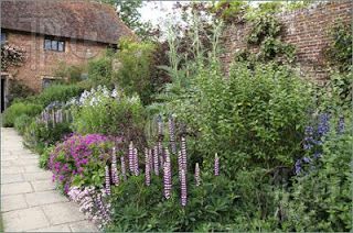 Border Garden. #gardening Border Gardens, Perennial Borders, Florida Cottage, Metal Garden Benches, Front Yards Curb Appeal, Edging Plants, Border Ideas, Herbaceous Border, Planting Ideas