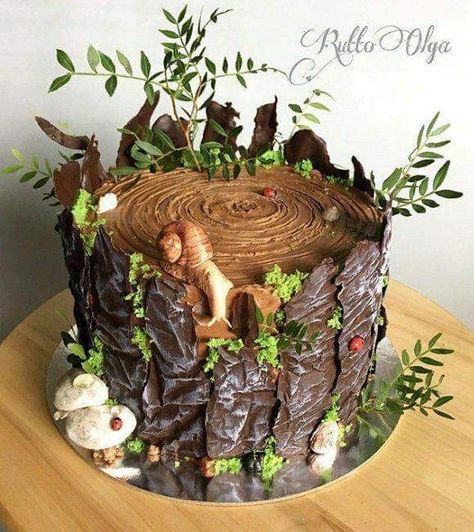 Masha Cake, Chocolate Soil, Stump Cake, Tree Stump Cake, Mushroom Cake, Woodland Cake, Garden Cakes, Fairy Cake, Devils Food Cake