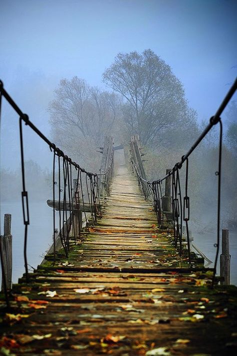 Desain Editorial, Wooden Bridge, A Bridge, Alam Yang Indah, The Words, Where To Go, Beautiful World, The Great Outdoors, Beautiful Photo