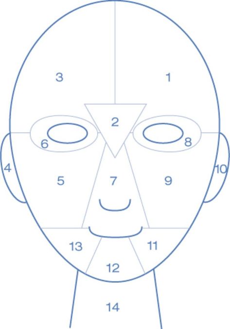 Why You Might Want to Use Retin-A | The Skincare Edit Gesicht Mapping, What Causes Pimples, Face Mapping, Hormonal Acne, Face Acne, Break Out, Health And Beauty Tips, A Face, Beauty Secrets