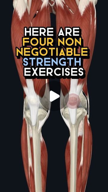 Coach Milad and Ryan ▪️Fitness and Nutrition Coach on Instagram: "Comment below if you need modifications ⬇️  Strengthening the knees for longevity involves exercises that target the muscles and structures supporting the knee joint, ensuring they remain strong and flexible. Here are four effective exercises and the reasons they contribute to knee resilience:  1️⃣ Spanish Squats: This exercise specifically targets the quadriceps, the front thigh muscles crucial for knee stability. By using a band around a fixed point and behind your knees, Spanish squats allow for a controlled strengthening of the quads without excessive pressure on the knee joints themselves. This is essential for absorbing shocks and stresses that the knees encounter daily.  2️⃣ Side Lying Hip Abductions: Strengthening th Quads Strengthening Exercises, Seated Quad Exercises, Strengthen Thigh Muscles, Inner Knee Fat Exercises, Knee Pull Ins, Quad Strengthening Exercises, Spanish Squats, Skating Exercises, Knee Injury Workout