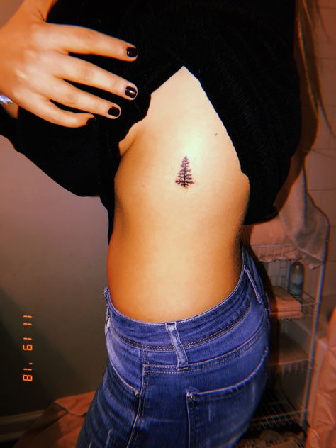 Red Cedar Tattoo, Cedar Tree Tattoo, Types Of Evergreen Trees, Olive Tree Bonsai, Tattoo Leaves, Oak Tree Bark, Oak Tree Silhouette, Tree Tat, Red Oak Tree