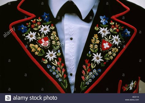 Embroidery Theme, Swiss Embroidery, Alpine Flowers, Swiss Style, Folk Dresses, Folk Dance, Fabric Art, Arm Tattoo, Design Inspo