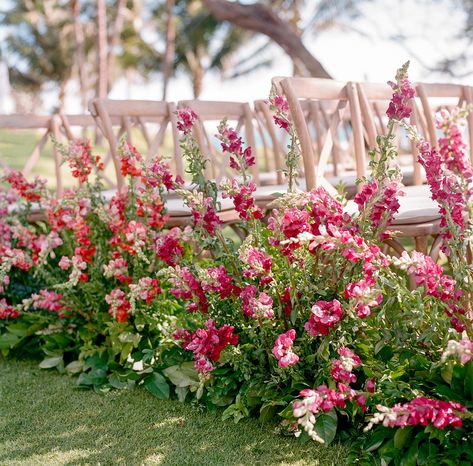 Rows of wooden chairs comprised the ceremony seating, and snapdragons—a special choice as they were Darby's late grandmother's favorite flower—lined the aisle. Snapdragon Wedding, Eclectic Wedding Invitations, Jewish Wedding Traditions, Stem Flowers, Long Stem Flowers, April Flowers, Aisle Flowers, Eclectic Wedding, How To Wrap