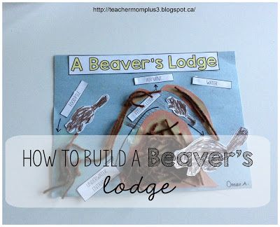 TeacherMomPlus3: Beaver's Lodge Craft Wetlands Activities, Beaver Scouts, Beaver Lodge, Animal Experiments, Fall Preschool, Animal Habitats, Tot School, Preschool Science, Afterschool Activities