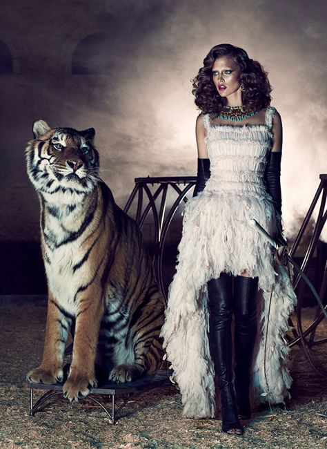 Kim Cloutier Joins the Circus for Dress to Kill Magazine by Chris Nicholls | Fashion Gone Rogue: The Latest in Editorials and Campaigns A Tiger, Magazine, Animals