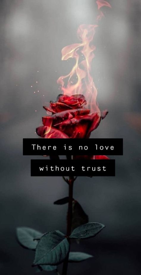 Without Trust There Is No Relationship, No Trust No Love Quotes, No Love Quotes Feelings, No Trust Quotes, No Love Quotes, Relationship Trouble, Love Is Trust, Sita Photo, No Trust