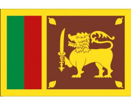 Sri Lanka Flag Sri Lankan Flag, History Of Sri Lanka, Sri Lanka Flag, Cricket Teams, Dalian, Flag Logo, Tianjin, Flags Of The World, Xiamen