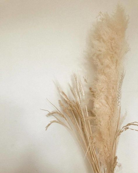 tumblr_p7nwd5mobO1v7mbn3o1_1280 Wheat Flower, Nordic Room, All White Room, Dried Wheat, Earthy Home Decor, Earthy Home, Feng Shui Decor, Pastel Room, Muted Tones