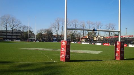 La densidad de siembra de semillas de césped, es muy variable. Desde 700 kgs por cancha que es la densidad mínima hasta 1500 kgs por cancha. Esto nos estaría dando una densidad aproximada de 900 a 1800 Kgs por hectárea. Lo mas recomendable es realizar la primer resiembra con estos 700 kgs y hacerle un refuerzo hasta el mes de Junio / Julio de 300 kgs mas. Rugby, Soccer Field, Soccer, Football