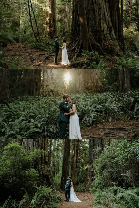 Photos from a romantic forest engagement shoot in Redwoods National Park. See more woodsy engagement pictures, woodsy engagement photos outfits, and woodsy engagement shoot ideas. Book Julia for your redwoods engagement photos or redwood elopement photography at juliaminaphotography.com! Redwood Forest Engagement Photos, Dark Forest Engagement Photos, Redwoods Engagement Photos, Redwood Photoshoot, Woodsy Engagement Pictures, Redwood Elopement, Forest Engagement Shoot, Woodsy Engagement Photos, Forest Wedding Photography