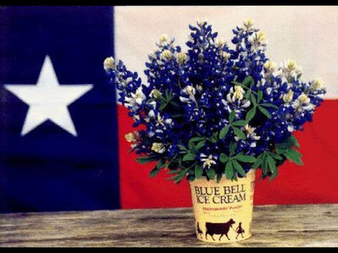 Bluebell! Shes Like Texas, Texas Party, Blue Bell Ice Cream, Texas Theme, Only In Texas, Texas Life, Texas Places, Texas Forever, Texas Bluebonnets