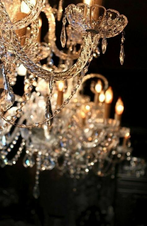 Rogers Gardens, Elegant Entertaining, Gold Aesthetic, Wedding Memorial, Crystal Chandelier, Elegant Style, Crown Jewelry, Ballet, Sparkle