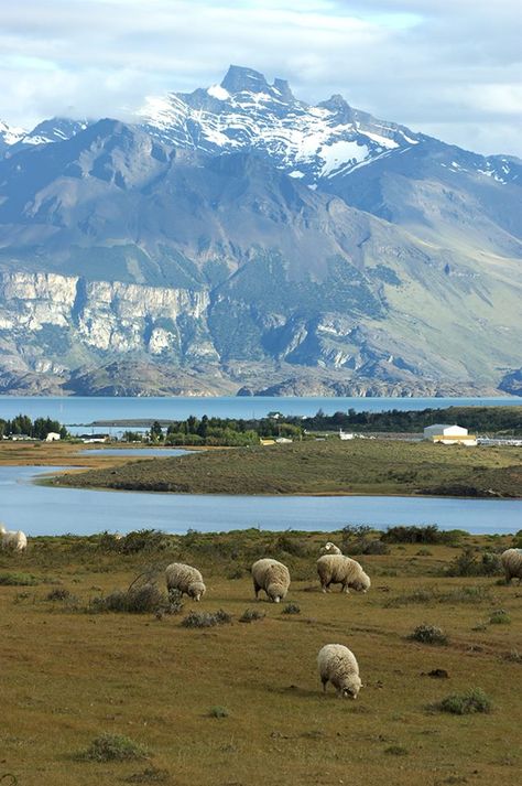 Patagonia Aesthetic, No Escape, Panama Travel, Patagonia Argentina, Ushuaia, South America Travel, The Shepherd, Art Of Living, Watercolor Landscape