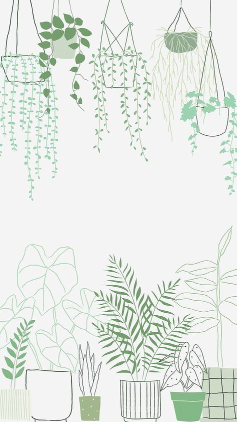 Popular houseplant doodle frame background | free image by rawpixel.com / marinemynt Free Ipad Wallpaper, Plant Png, Plant Doodle, Sage Green Wallpaper, Doodle Background, Doodle Frame, Plant Background, Free Illustration Images, �타이포그래피 포스터 디자인