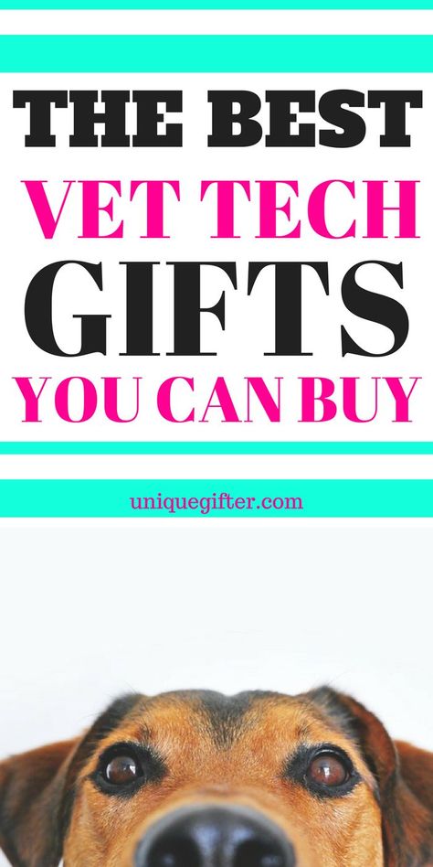 Thank You Baskets, Christmas Gift Inspiration, Masters Gift, Vet Tech Gifts, Inexpensive Christmas Gifts, Vet Assistant, Volunteer Gifts, Veterinary Technician, A Vet