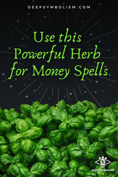 Herbs For Prosperity Money, Herbs For Financial Abundance, Money Herbs Magic, Herbs For Money Spells, Money Rituals Magic Spells, Money Attraction Spells, Herbs For Wealth And Prosperity, Herbs For Money, Money Alter