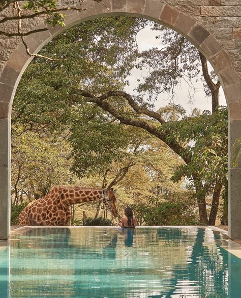 Safari House, Giraffe Manor, Africa Vacation, South Africa Safari, Safari Vacation, Spa Holiday, Unusual Hotels, Kenya Safari, Luxury Safari