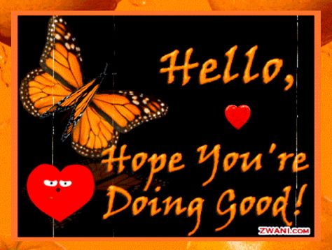 Just Saying Hello, Hope Youre Feeling Better, Thank You For Birthday Wishes, Nite Nite, Wow Words, Hello Greeting, Paul Williams, Good Night Funny, Daily Blessings