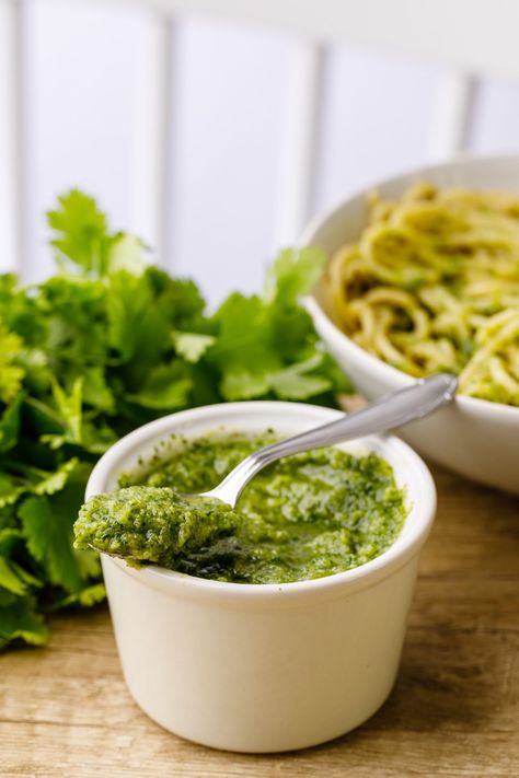 5-Minute Cilantro Pesto Recipe - Nurtured Homes Cilantro Pesto Recipe, Cilantro Pesto, Small Food Processor, Pesto Recipe, Cilantro Lime, Pine Nuts, Vegetarian Cheese, Gluten Free Vegetarian, Cilantro