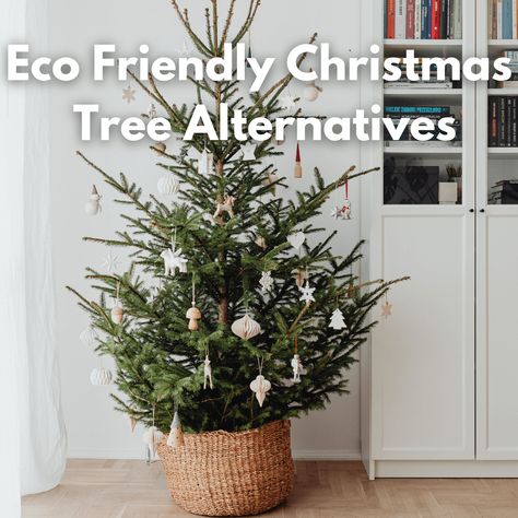 7 Amazing Eco Friendly Christmas Tree Alternatives To Consider - Sustain Life Journal Alternatives For Christmas Trees, Grow Your Own Christmas Tree, Christmas Tree Ideas No Tree, Alternative Yule Tree, Christmas Tree Sustainable, Zero Waste Christmas Tree, Christmas Decorations Without A Tree, Alternatives To Christmas Trees, Eco Friendly Christmas Tree