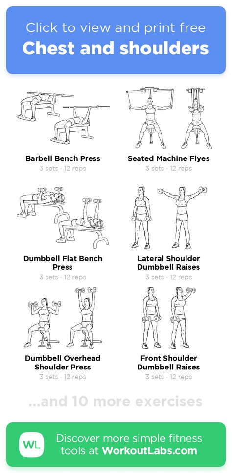 Tricep Workout Gym, Workoutlabs Fit, Chest And Shoulder Workout, Chest And Tricep Workout, Gym Routines, Workout Chest, Full Body Weight Workout, Yoga Ball Exercises, Workout Labs