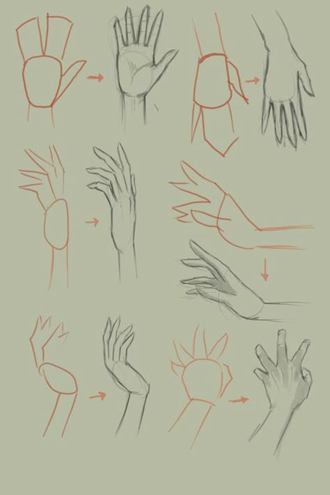 How to draw hands. An art tutorial ♥♡ #Entertainment #Trusper #Tip Mata Manga, Ako Kresliť, Drawing Hands, Hand Drawing Reference, Drawing Faces, Hand Reference, Basic Drawing, Digital Painting Tutorials, Anime Drawings Tutorials