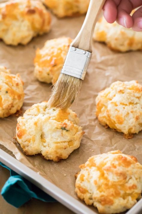 Cheese Drop Biscuits, Cheddar Drop Biscuits, Garlic Cheese Biscuits, Garlic Cheddar Biscuits, Easy Drop Biscuits, Drop Biscuits Recipe, Sugar Spun Run, Garlic Cheddar, Garlic Knots Recipe