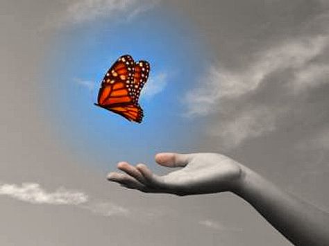 Poem: Letting Go Takes Love | Mental Health Awareness Let Go Of Anger, Blue Tansy, Lose Something, Feeling Positive, Set You Free, Love Can, Emotional Healing, Mental Health Awareness, A Butterfly