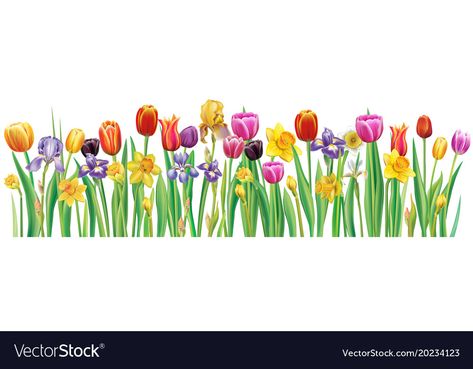 Spring Flowers Illustration, Reception Display, Cake Floral, Flowers Vector, Glass Designs, Spring Theme, Clip Art Borders, Art Pop, Flower Clipart