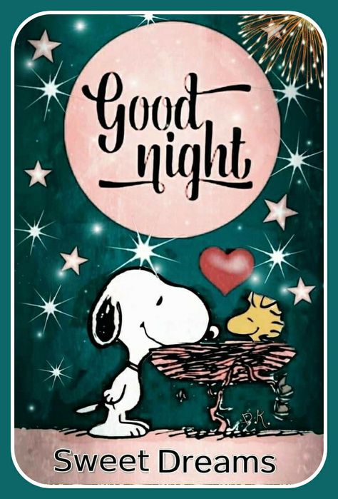 Snoopy Memes, Snoopy Quotes, Sweet Dreams, Charlie Brown, Good Night, Hockey, Peanut, Snoopy, Inspirational Quotes