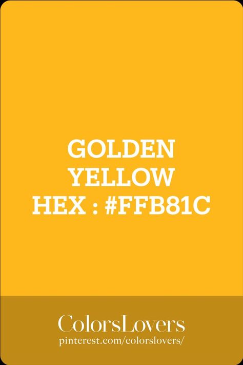 GOLDEN YELLOW COLOR Yellow Hex Code, Hex Color, Color Palette Yellow, Golden Yellow Color, Hex Codes, Yellow Images, Hex Colors, Golden Yellow, Yellow Color