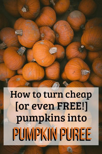 Freeze Pumpkin Puree, Freeze Pumpkin, Make Pumpkin Puree, Pumpkin Puree Recipes, Food Preserving, Frozen Pumpkin, Pumpkin Recipe, Homemade Pumpkin Puree, How To Make Pumpkin