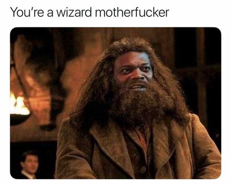 Cool Memes, Glume Harry Potter, Samuel L Jackson, Old Memes, Memes Of The Day, Joke Of The Day, Fresh Memes, Harry Potter Memes, Funny Love