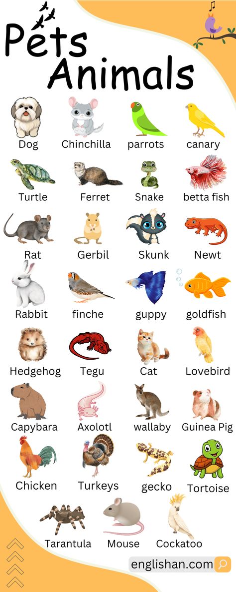 Pets Animals Names Pet Vocabulary, English Animals, Animal Vocabulary, Learning Animals, Animals Name In English, Basic English Grammar Book, Vocabulary In English, English Learning Books, English Teaching Materials