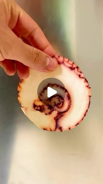 Octopus Carpaccio Recipe, Octopus Dishes, Octopus Ceviche, Octopus Carpaccio, Carpaccio Recipe, Heart Of The Sea, Octopus Recipes, Beef Carpaccio, Raw Fish