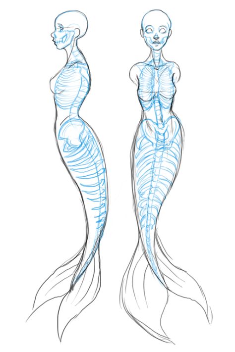 How to draw Mermaids for MerMay coming up next... - SarahCulture Fancy Drawing, Mermaid Tutorial, Mermaid Sketch, Mermaid Pose, الفن الرقمي, Mermaid Drawings, 캐릭터 드로잉, Arte Sketchbook, Mermaid Art