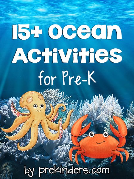 Preschool Theme Ideas, Prek Art, Ideas For Learning, Page Books, Ocean Ideas, Prek Activities, Ocean Theme Preschool, Ocean Unit, Ocean Science