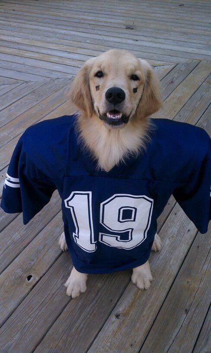 #CowboysNation Bills Jersey, Fantasy Football Logos, Fantasy Football Humor, Football Dog, Happy National Dog Day, National Dog Day, Texas Cowboys, Fantasy Football League, Cowboy Games