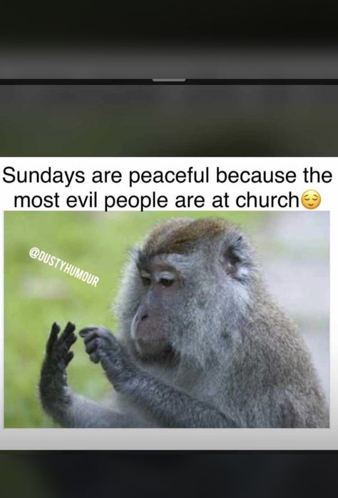 Funny Sunday Memes, Funny Sunday, African Quotes, Christian Quotes Prayer, Movie Quotes Funny, Memes Sarcastic, Funny Cartoon Quotes, Funny Picture Quotes, Funny As Hell