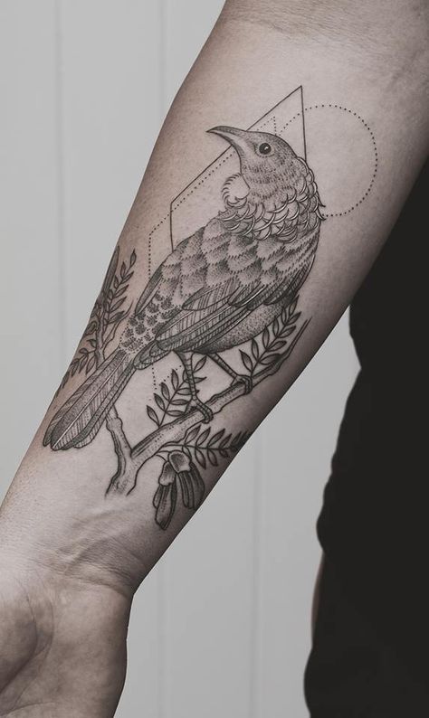 tui tattoo Tui Tattoo, Tui Bird, Tattoo Bird, Bird Sketch, Tat Ideas, Birds Tattoo, Rose Tattoos, Tattoo Idea, Rose Tattoo