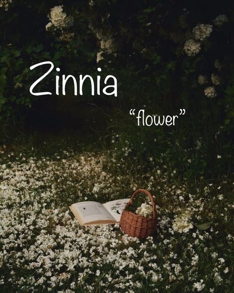 Dystopian Names, Beautiful Word, Girls Names, Zinnia Flowers, Aesthetic Names, Fantasy Book, Cute Names, What Is Your Name, Say My Name