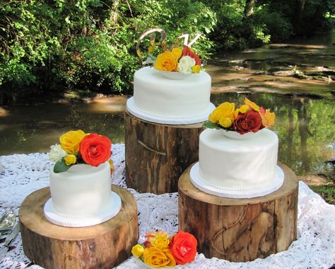 tree cake stand | Tree Stump Stand Wedding Cakes — Round Wedding Cakes Cake Stands For Wedding, Log Cake Stand, Stump Cake, Tree Stump Cake, Wedding Cake Tree, Daisy Wedding Flowers, Cupcake Stand Wedding, Round Wedding Cakes, Log Cake