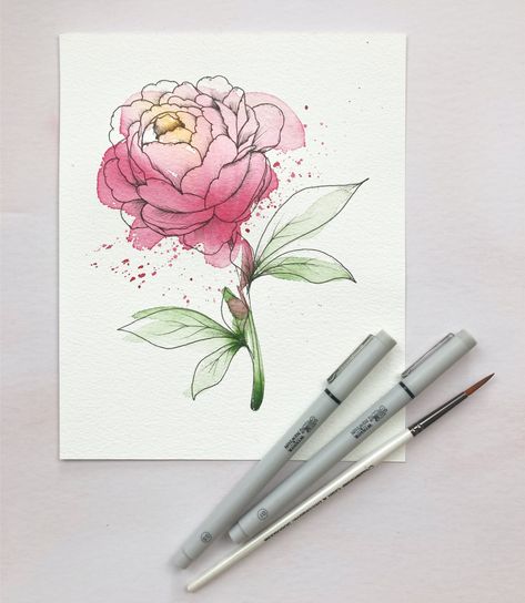 Watercolour Peony Tutorial, How To Draw A Peony, Peony Drawings, Peony Line Drawing, Line Drawing Tutorial, Draw A Peony, Watercolour Peonies, Peony Line Art, Watercolour Peony