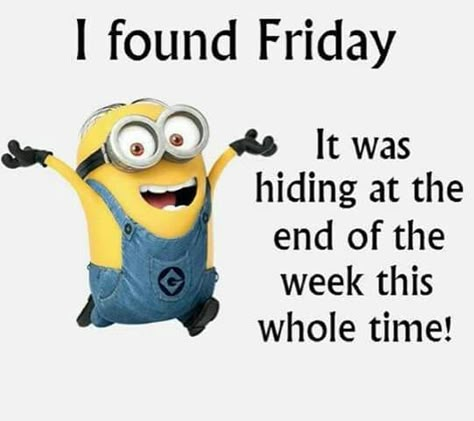 I found Friday Despicable Me Quotes, Tgif Funny, Minions Humor, Funny Minion Pictures, Funny Minion Memes, Funny Images With Quotes, Minion Pictures, Minion Jokes, Friday Quotes Funny