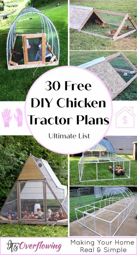 Diy Chicken Tractor, Chicken Tractor Plans, Decorating Backyard, Coop Layout, Chicken Coop Designs Diy, A Frame Chicken Coop, Chicken Enclosure, Building Steps, Chicken Coop Blueprints