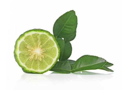 Bergamot is a citrus fruit whose rind is used for extracting bergamot essential oil. The scientific name of bergamot isCitrus bergamia. Its sweet aroma of bergamot oil makes it a popular component in many cosmetic products, and it is often used as a main ingredient. #massageoil #massage #sensual #beach #gift #softskin #bergamot #motivationalmonday #mindfulnessmonday #mondaymassage #mymonday #midnightmonday #myspa  http://sandylanespa.com/ Bergamot Orange, Bergamot Essential Oil, Bergamot Oil, Take Care Of Your Body, Traditional Medicine, Ocean Lover, Citrus Fruit, Massage Oil, Kinds Of People